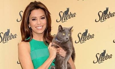 Ева Лонгория на презентации нового корма от Sheba