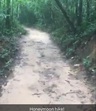 This is caption text