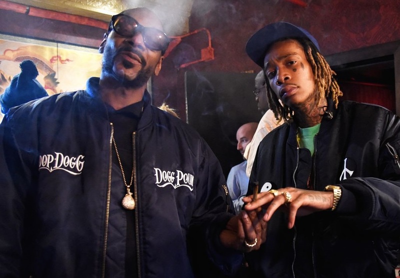 42 человека госпитализированы во время концерта Snoop Dogg (видео)